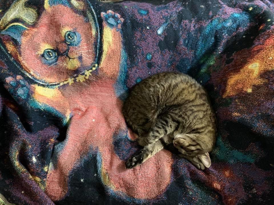 Lost in space woven throw Gift Items Ash Evans